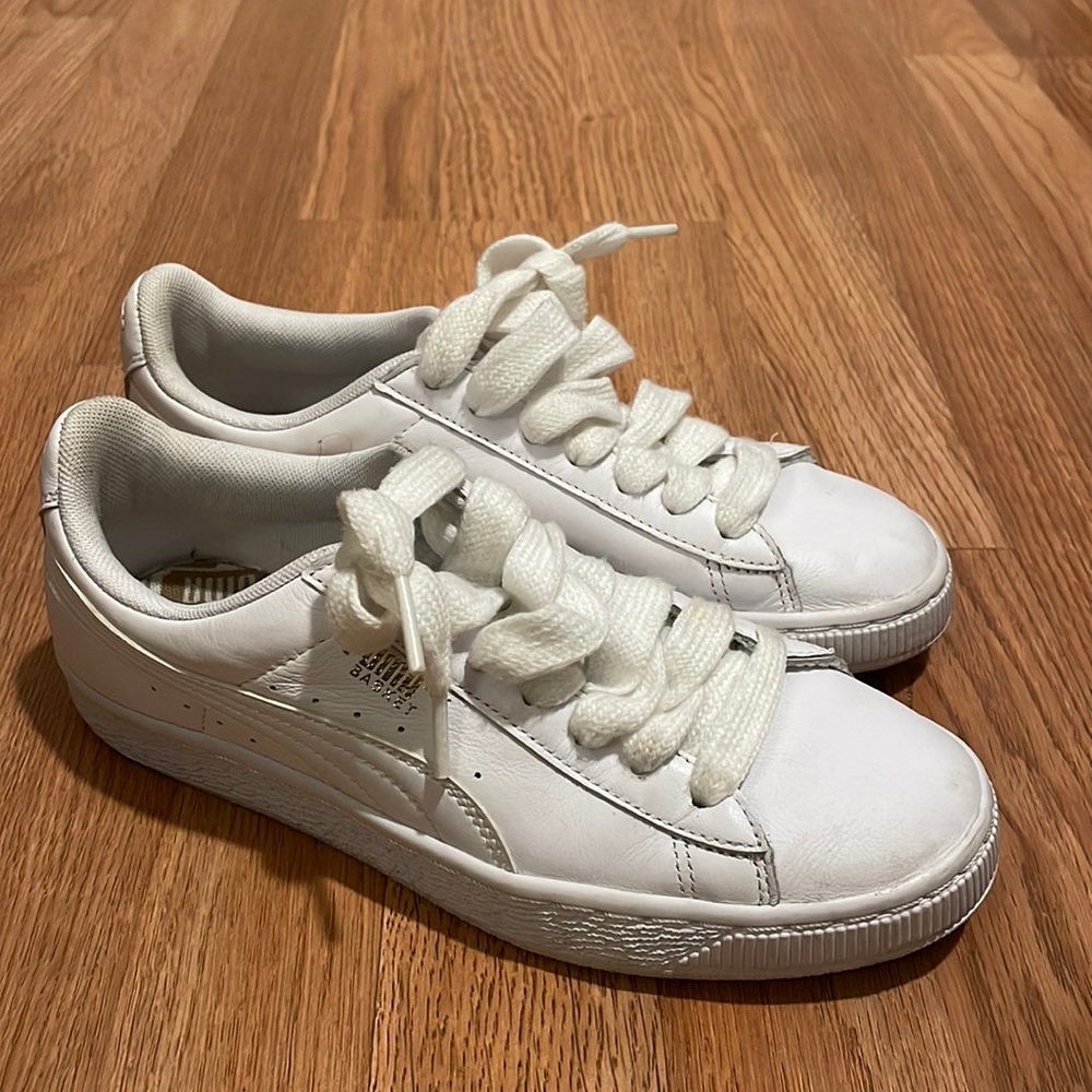 White pumas